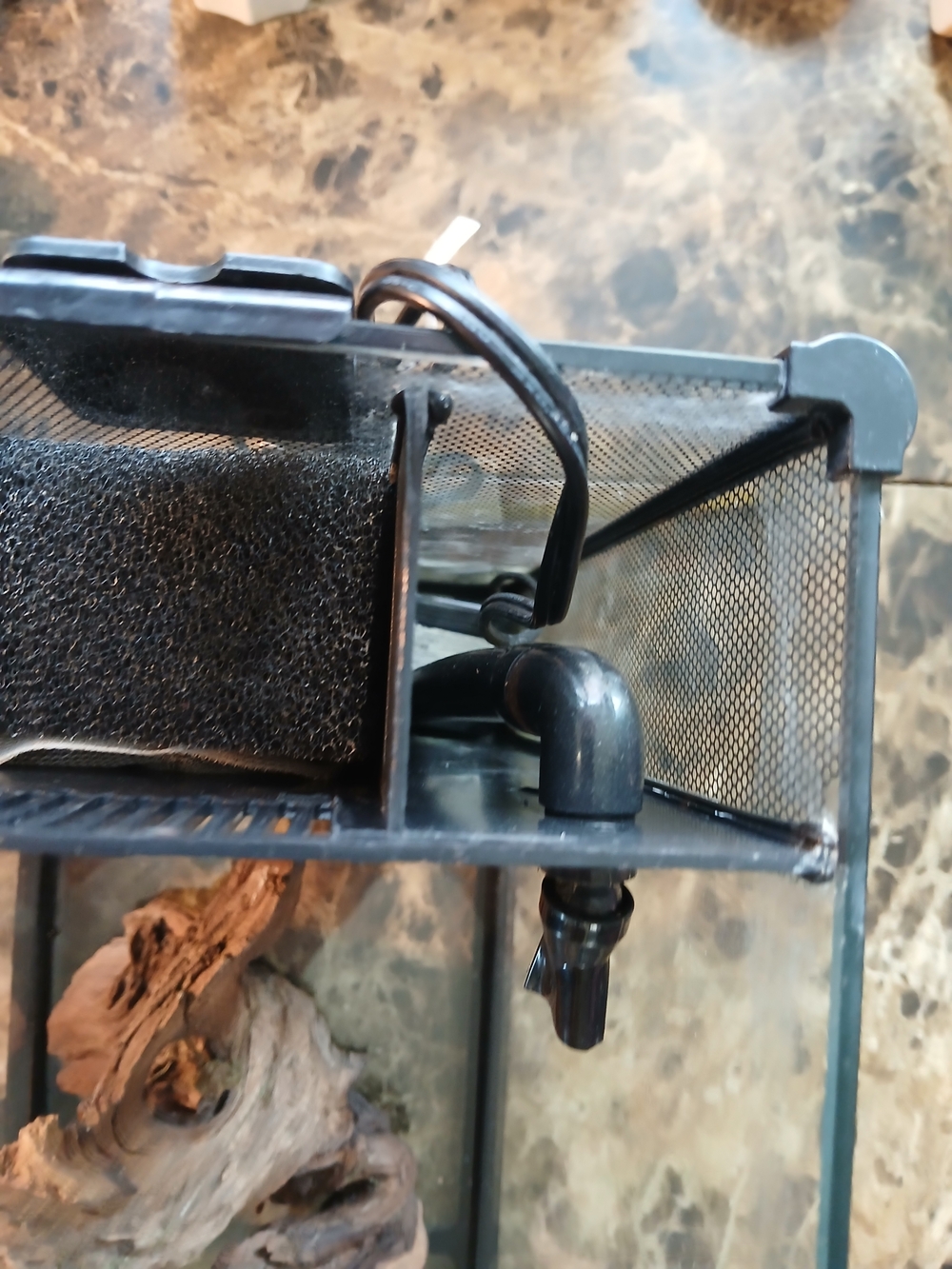 Fluval Spec V Aquarium Kit, 5-Gallon, Black tested works great
The Fluval Spec - Picture 7 of 12